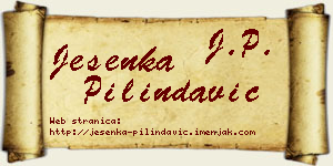 Jesenka Pilindavić vizit kartica